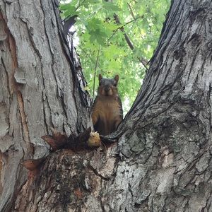 Meet your Posher, Luis